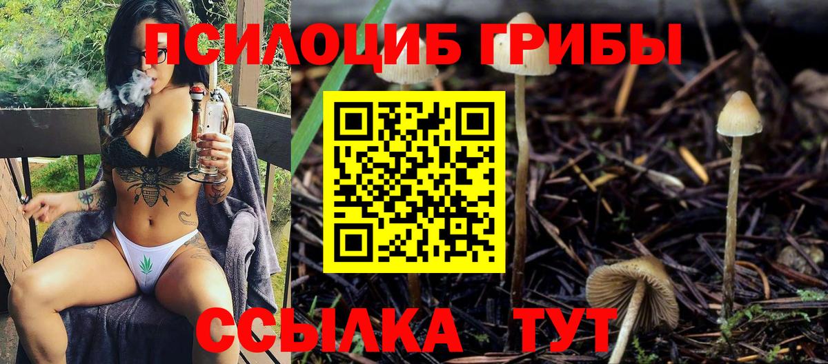 Псилоцибиновые грибы Magic Shrooms Кумертау