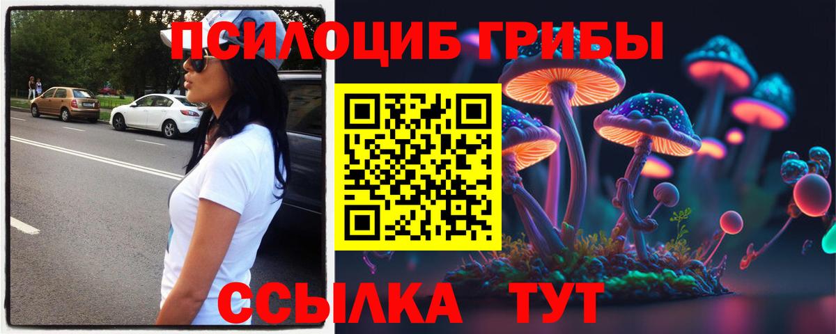 купить наркотики сайты  Псилоцибиновые грибы Psilocybine cubensis  Вход с VPN  Кумертау 